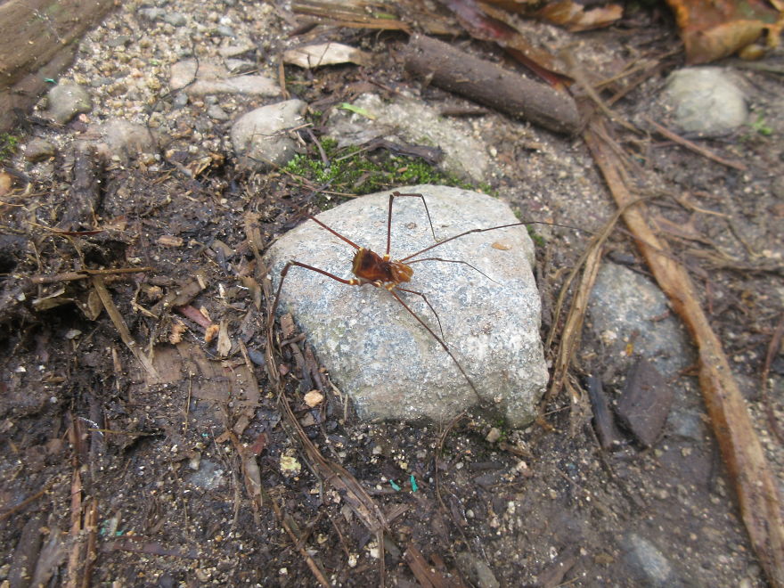 We Spent 5 Months In The Jungles Of South America, And Saw Some Crazy Things! We Spent 5 Months In The Jungles Of South America, And Saw Some Crazy Things!