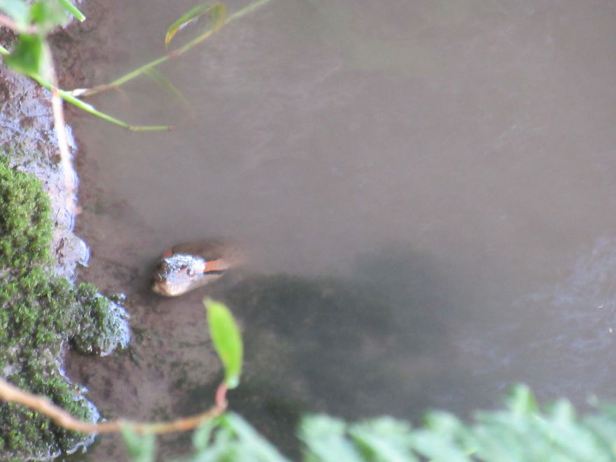 We Spent 5 Months In The Jungles Of South America, And Saw Some Crazy Things! We Spent 5 Months In The Jungles Of South America, And Saw Some Crazy Things!