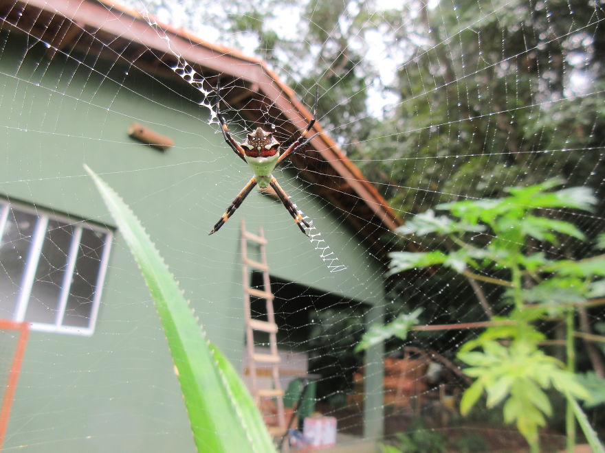 We Spent 5 Months In The Jungles Of South America, And Saw Some Crazy Things! We Spent 5 Months In The Jungles Of South America, And Saw Some Crazy Things!