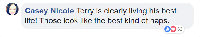 The Internet Can’t Get Enough Of This Man Who Volunteers And Naps With Cats At A Shelter Every Day The Internet Can’t Get Enough Of This Man Who Volunteers And Naps With Cats At A Shelter Every Day