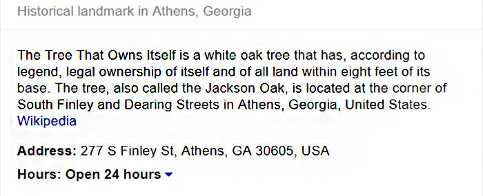 This City Granted The Right For This Tree To Own Itself And It’s Brilliant This City Granted The Right For This Tree To Own Itself And It’s Brilliant