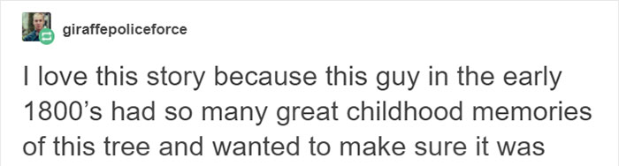 This City Granted The Right For This Tree To Own Itself And It’s Brilliant This City Granted The Right For This Tree To Own Itself And It’s Brilliant