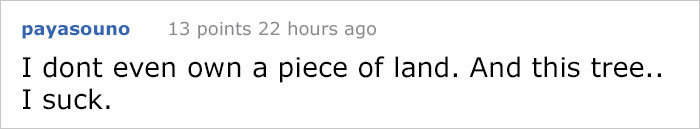 This City Granted The Right For This Tree To Own Itself And It’s Brilliant This City Granted The Right For This Tree To Own Itself And It’s Brilliant