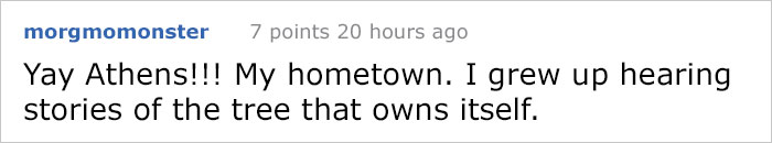 This City Granted The Right For This Tree To Own Itself And It’s Brilliant This City Granted The Right For This Tree To Own Itself And It’s Brilliant