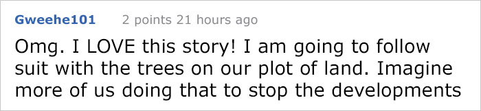 This City Granted The Right For This Tree To Own Itself And It’s Brilliant This City Granted The Right For This Tree To Own Itself And It’s Brilliant