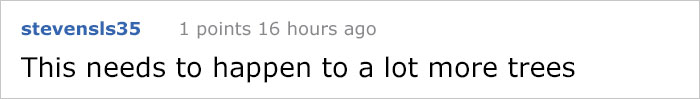This City Granted The Right For This Tree To Own Itself And It’s Brilliant This City Granted The Right For This Tree To Own Itself And It’s Brilliant