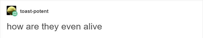 Tumblr Explains Why Koalas Are Animals That Make Absolutely No Sense Tumblr Explains Why Koalas Are Animals That Make Absolutely No Sense