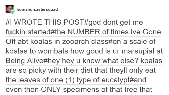 Tumblr Explains Why Koalas Are Animals That Make Absolutely No Sense Tumblr Explains Why Koalas Are Animals That Make Absolutely No Sense