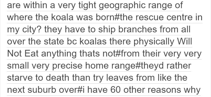 Tumblr Explains Why Koalas Are Animals That Make Absolutely No Sense Tumblr Explains Why Koalas Are Animals That Make Absolutely No Sense