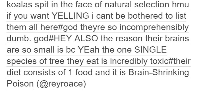 Tumblr Explains Why Koalas Are Animals That Make Absolutely No Sense Tumblr Explains Why Koalas Are Animals That Make Absolutely No Sense
