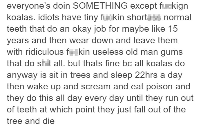 Tumblr Explains Why Koalas Are Animals That Make Absolutely No Sense Tumblr Explains Why Koalas Are Animals That Make Absolutely No Sense
