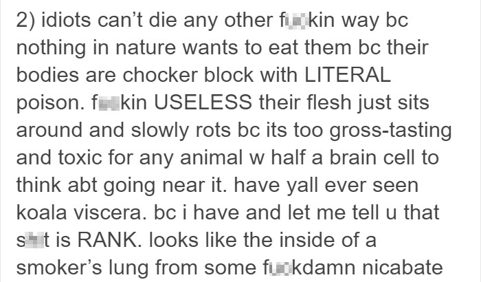 Tumblr Explains Why Koalas Are Animals That Make Absolutely No Sense Tumblr Explains Why Koalas Are Animals That Make Absolutely No Sense