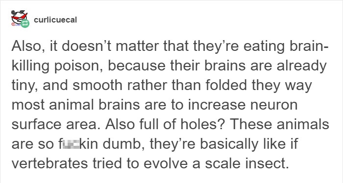 Tumblr Explains Why Koalas Are Animals That Make Absolutely No Sense Tumblr Explains Why Koalas Are Animals That Make Absolutely No Sense