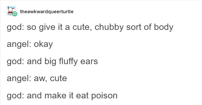 Tumblr Explains Why Koalas Are Animals That Make Absolutely No Sense Tumblr Explains Why Koalas Are Animals That Make Absolutely No Sense