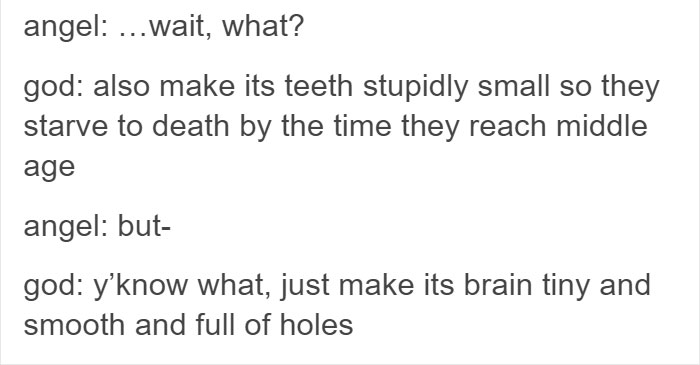 Tumblr Explains Why Koalas Are Animals That Make Absolutely No Sense Tumblr Explains Why Koalas Are Animals That Make Absolutely No Sense