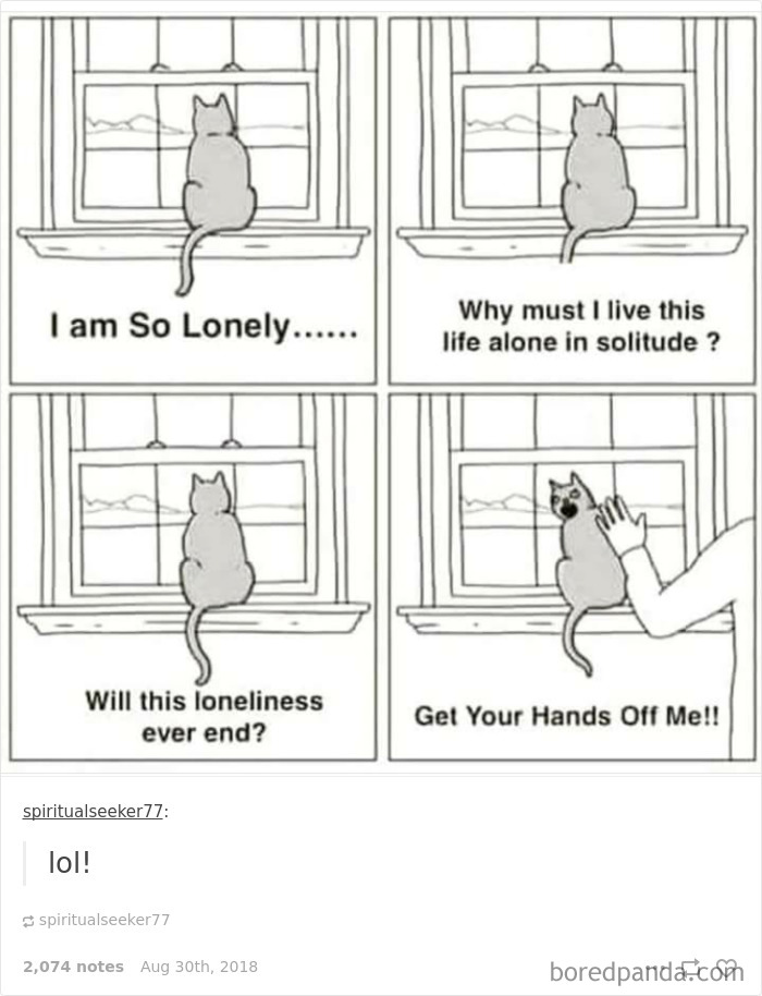 51 Times Tumblr Made Introverts Laugh Out Loud 51 Times Tumblr Made Introverts Laugh Out Loud