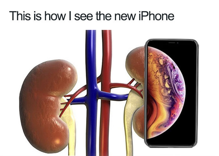 Apple Reveals Its Newest iPhone, The Internet Reacts With 62 Hilarious Memes Apple Reveals Its Newest iPhone, The Internet Reacts With 62 Hilarious Memes