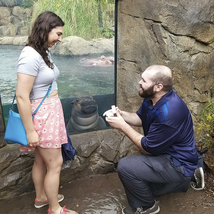 The Internet Is Cracking Up Over This Bear’s Reaction To This Couple Getting Married At The Zoo (3 Pics)