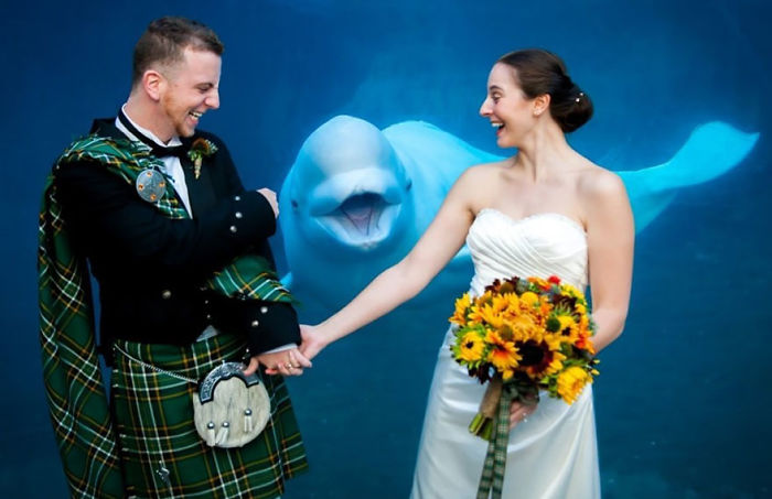 The Internet Is Cracking Up Over This Bear’s Reaction To This Couple Getting Married At The Zoo (3 Pics)