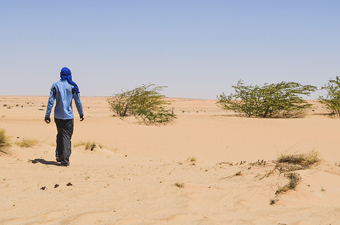 39 Survival Tips That Everyone Needs To Know 39 Survival Tips That Everyone Needs To Know