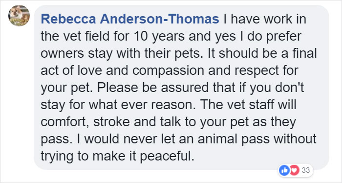 Vets Reveal What Pets Do Right Before Death, And It&#8217;s A Must-Read For Every Pet Owner