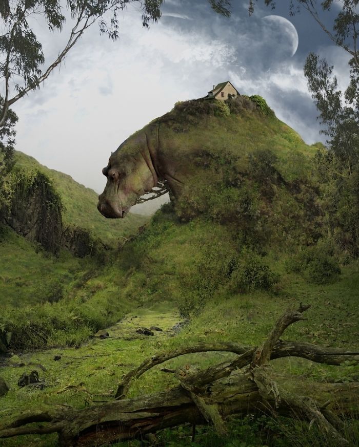 Artist Creates Surreal Landscapes That Balances Between Nature And Another Dimension Artist Creates Surreal Landscapes That Balances Between Nature And Another Dimension