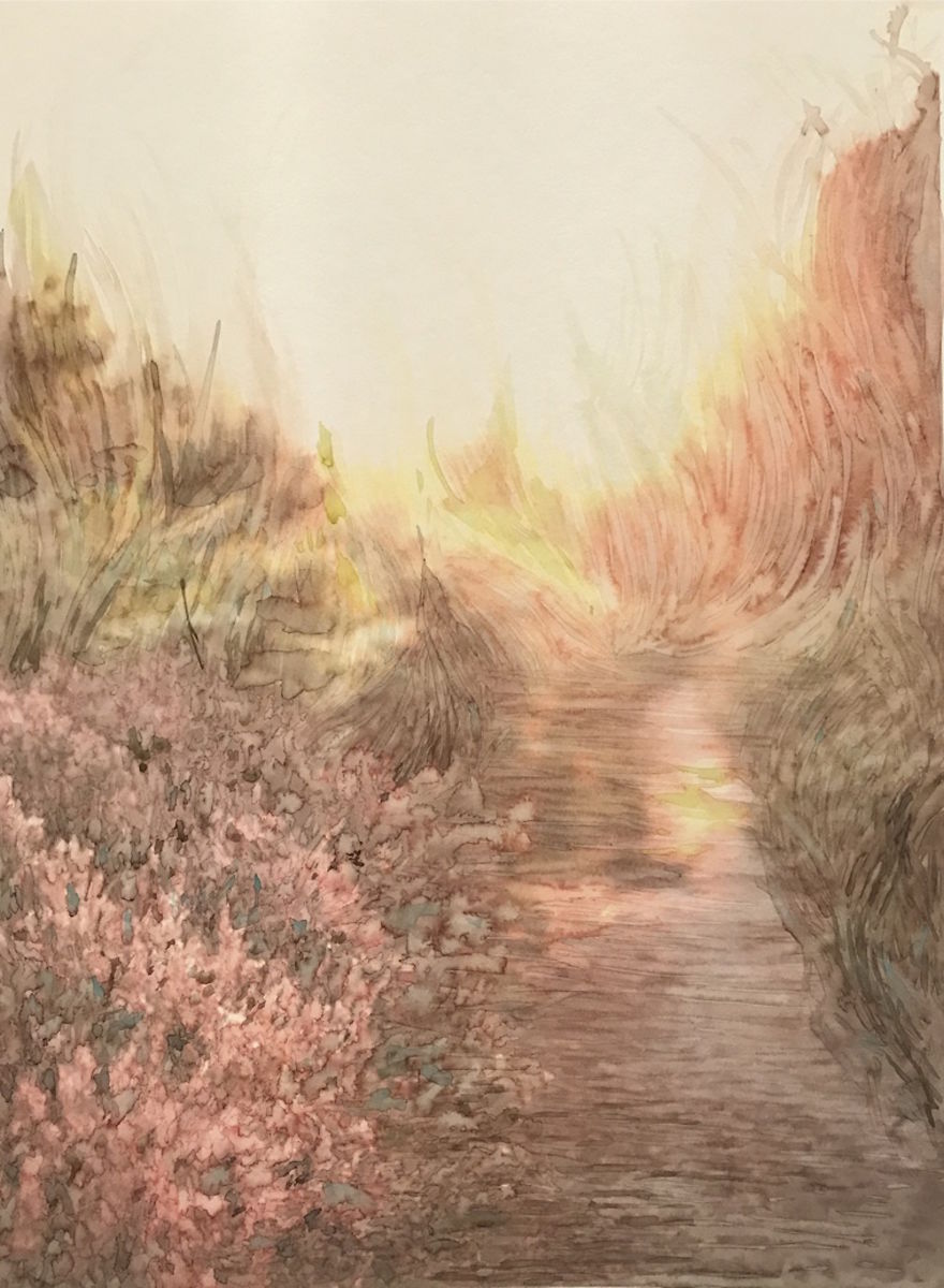 More Grass Field More Grass Field