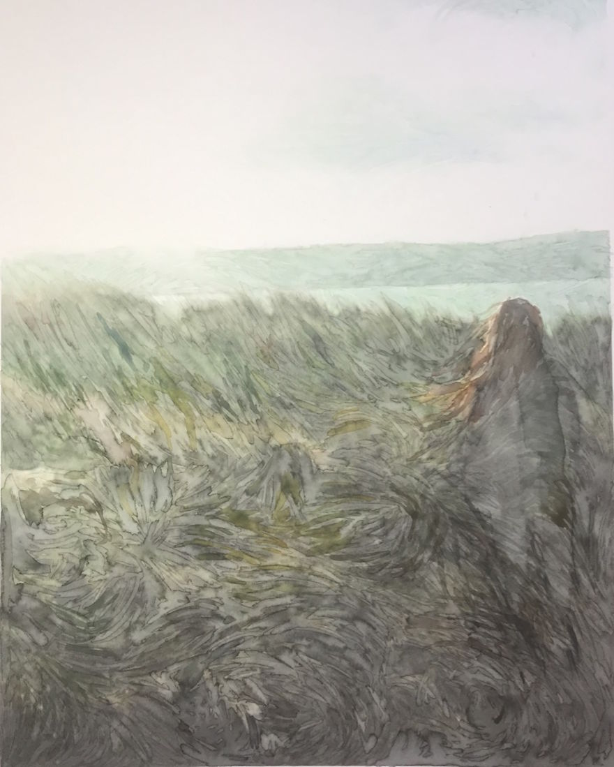 More Grass Field More Grass Field