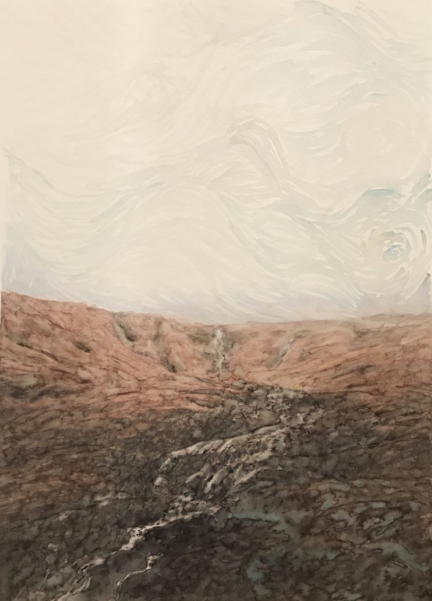 More Grass Field More Grass Field