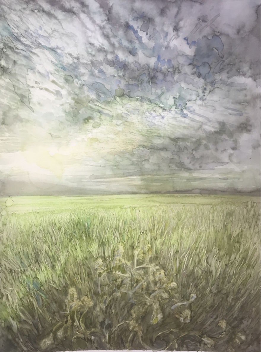 More Grass Field More Grass Field