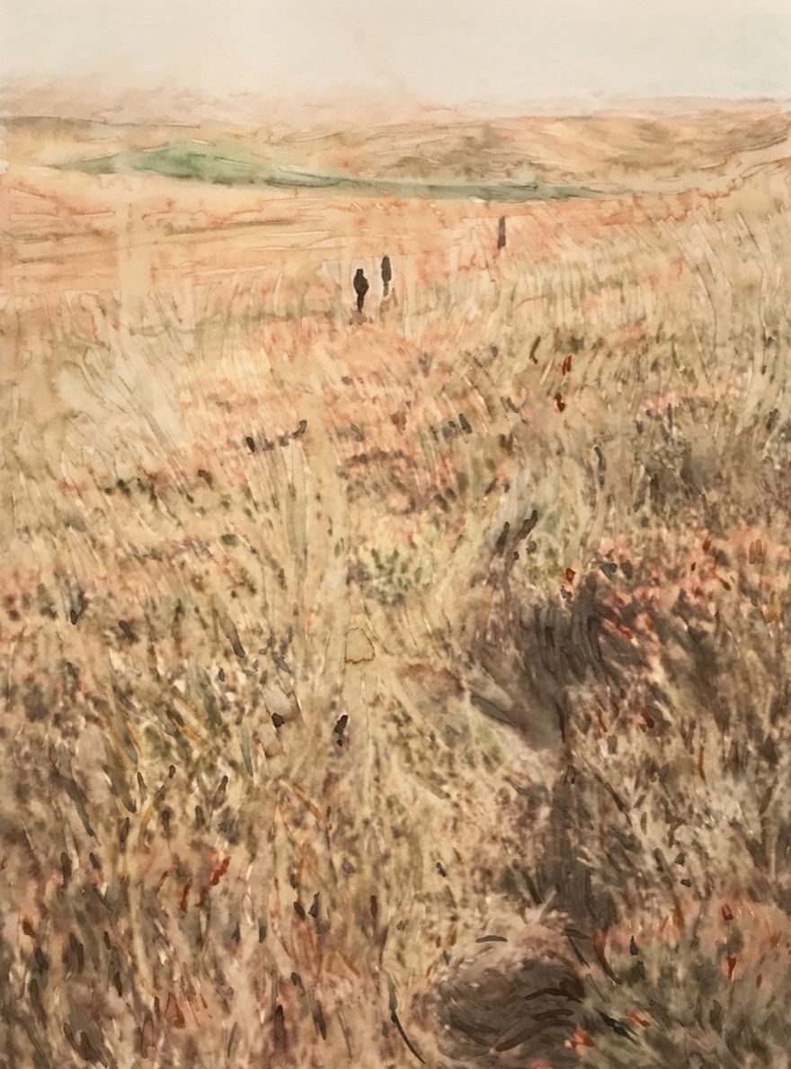 More Grass Field More Grass Field