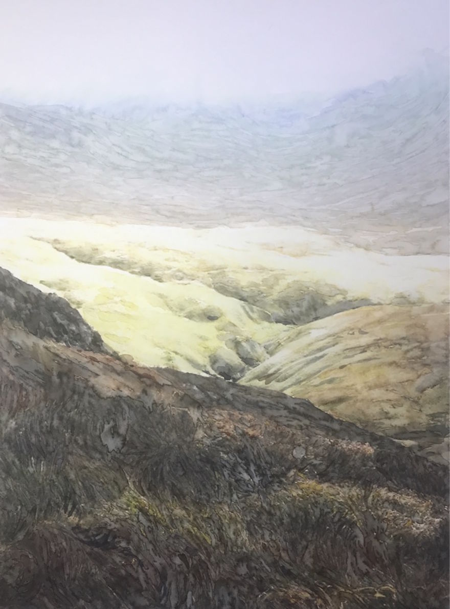 More Grass Field More Grass Field