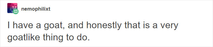 Hilariously Unbelievable Encounters With Goats That Prove They’re Actually Genius Trolls Hilariously Unbelievable Encounters With Goats That Prove They’re Actually Genius Trolls