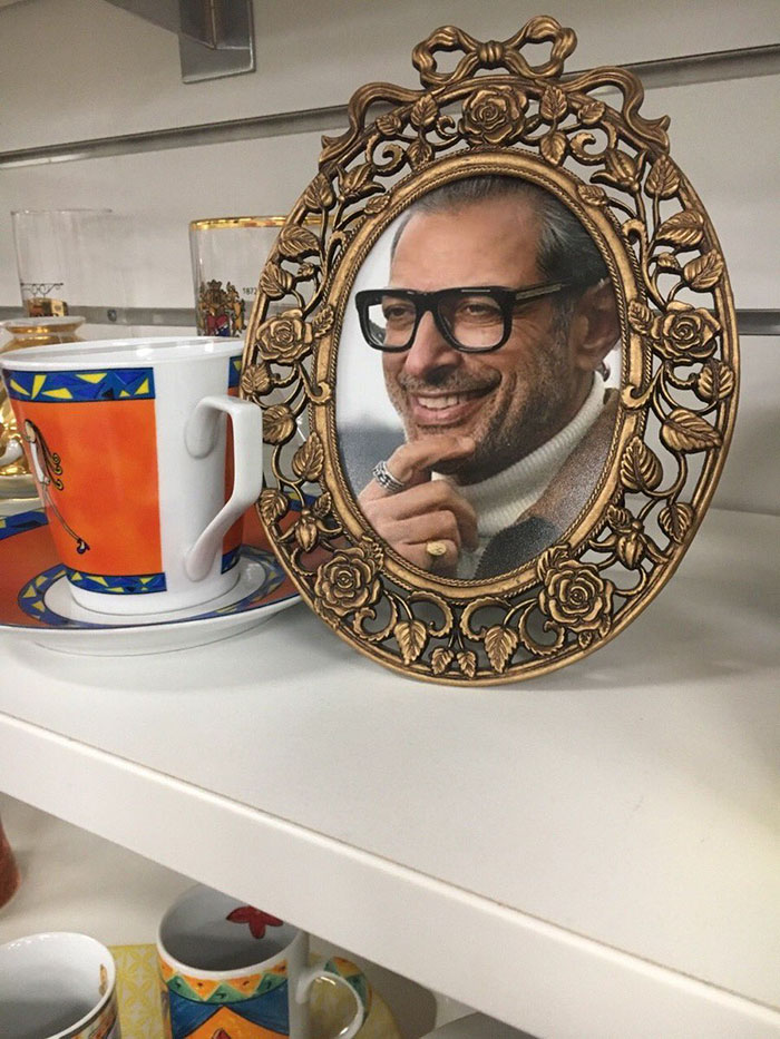 This Charity Shop Added A Picture Of Jeff Goldblum In Every Photo Frame They Had And It’s Amusing This Charity Shop Added A Picture Of Jeff Goldblum In Every Photo Frame They Had And It’s Amusing
