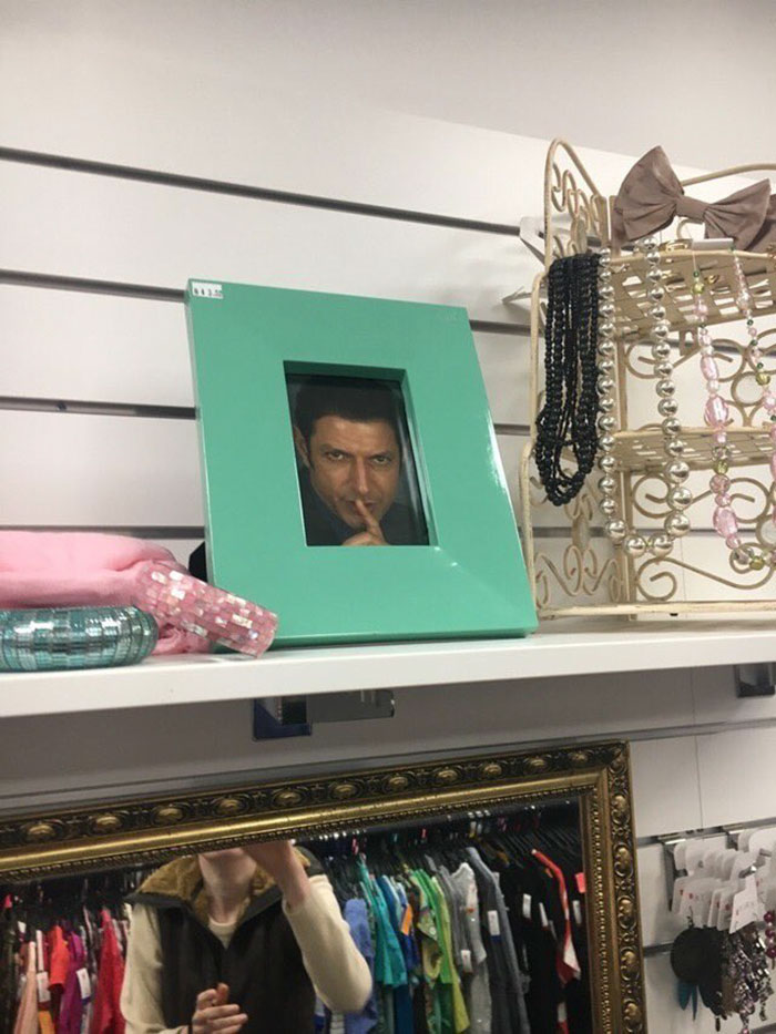 This Charity Shop Added A Picture Of Jeff Goldblum In Every Photo Frame They Had And It’s Amusing This Charity Shop Added A Picture Of Jeff Goldblum In Every Photo Frame They Had And It’s Amusing