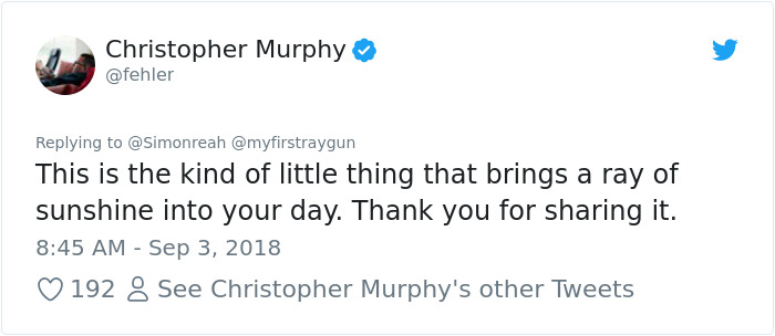 This Charity Shop Added A Picture Of Jeff Goldblum In Every Photo Frame They Had And It’s Amusing This Charity Shop Added A Picture Of Jeff Goldblum In Every Photo Frame They Had And It’s Amusing