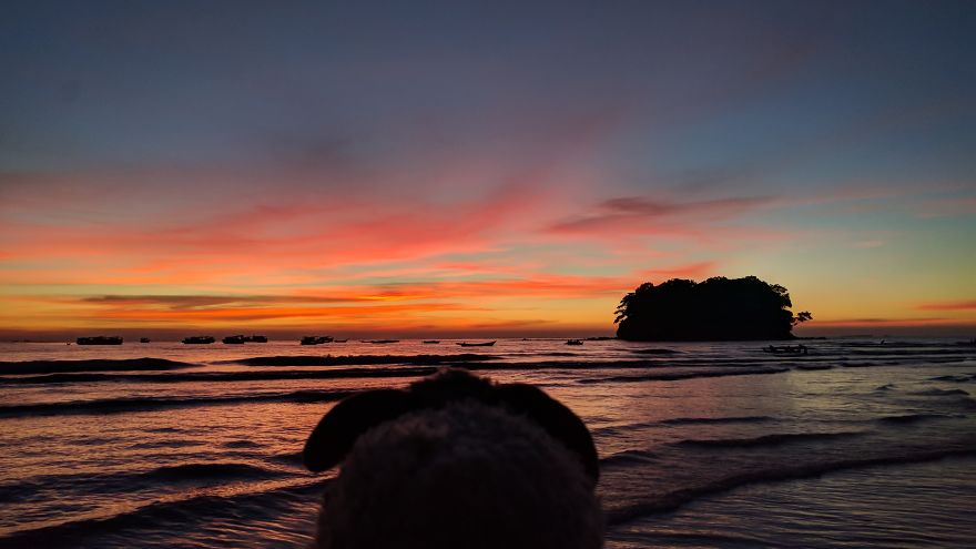 I Am The Cutest Ram Ever And I Love To Travel: Look At My Pictures Around The World!