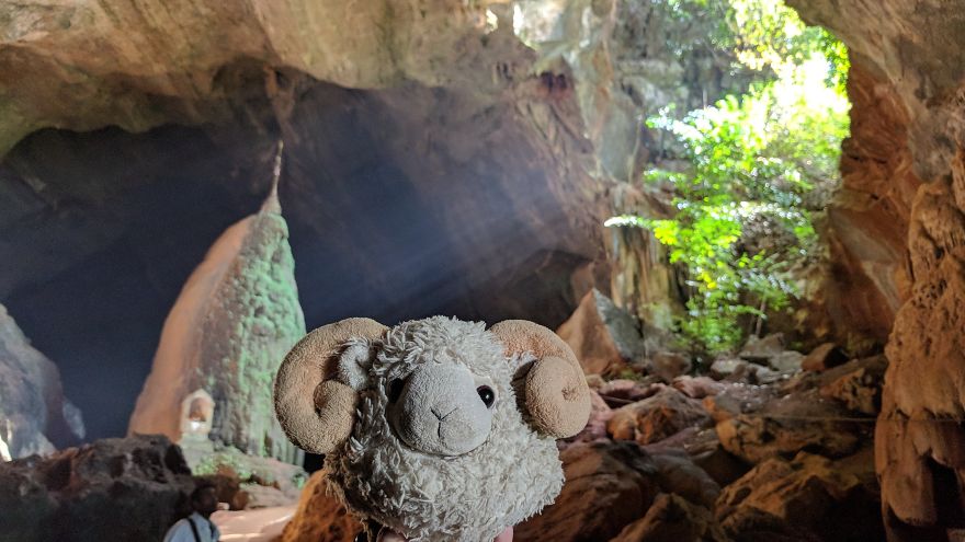 I Am The Cutest Ram Ever And I Love To Travel: Look At My Pictures Around The World!