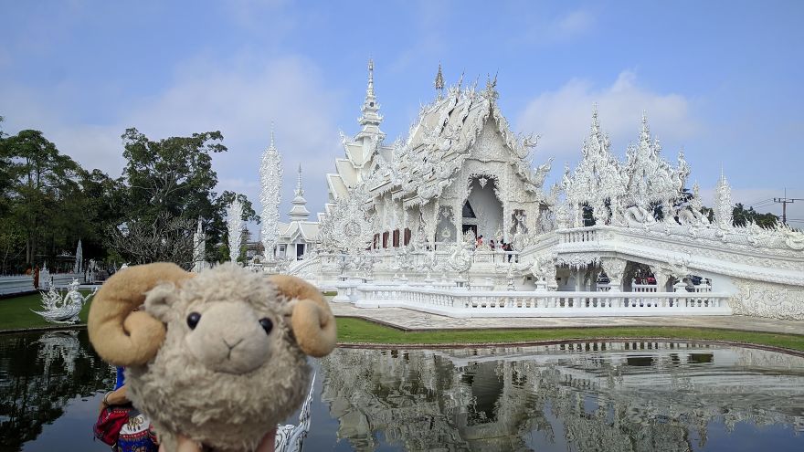 I Am The Cutest Ram Ever And I Love To Travel: Look At My Pictures Around The World!