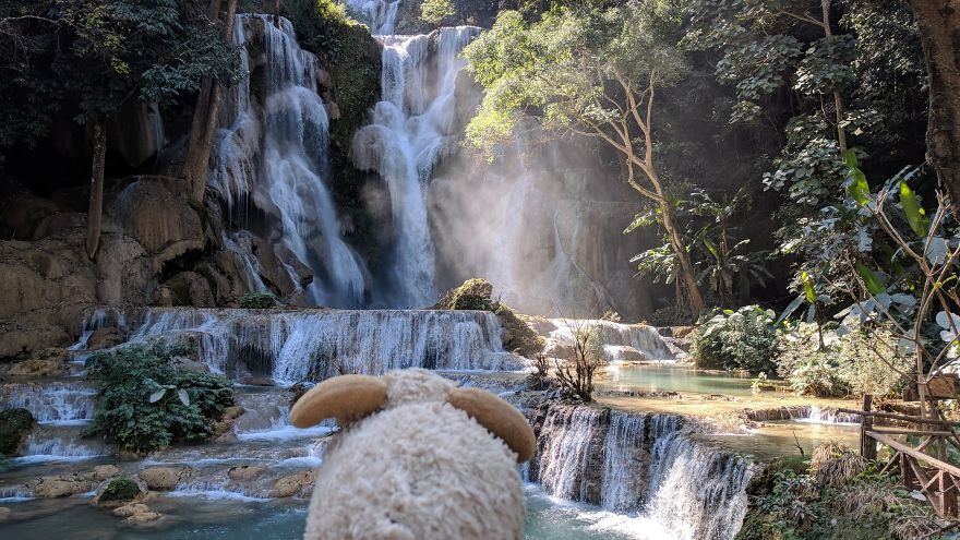 I Am The Cutest Ram Ever And I Love To Travel: Look At My Pictures Around The World!