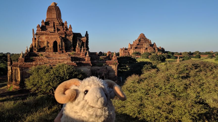 I Am The Cutest Ram Ever And I Love To Travel: Look At My Pictures Around The World!