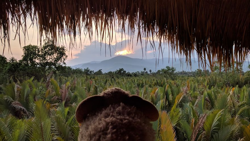 I Am The Cutest Ram Ever And I Love To Travel: Look At My Pictures Around The World!