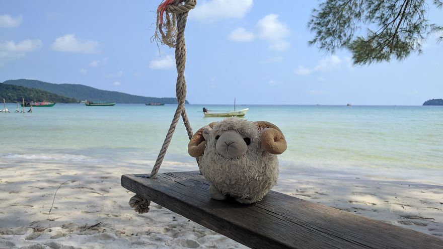 I Am The Cutest Ram Ever And I Love To Travel: Look At My Pictures Around The World!