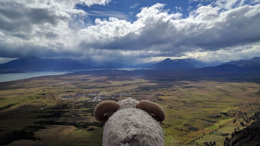 I Am The Cutest Ram Ever And I Love To Travel: Look At My Pictures Around The World!