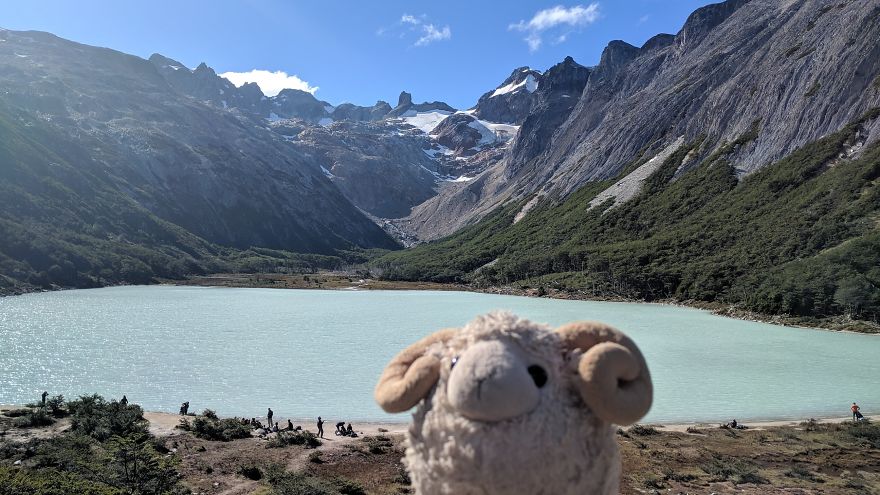 I Am The Cutest Ram Ever And I Love To Travel: Look At My Pictures Around The World!