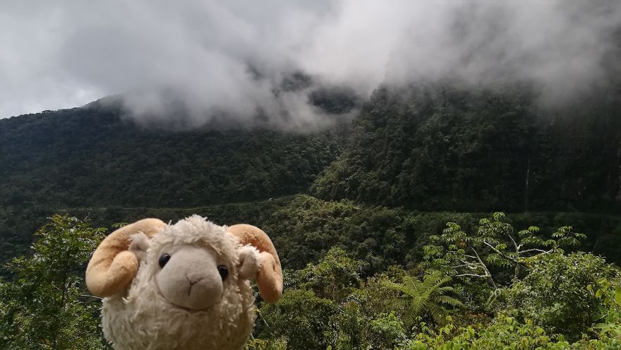 I Am The Cutest Ram Ever And I Love To Travel: Look At My Pictures Around The World!