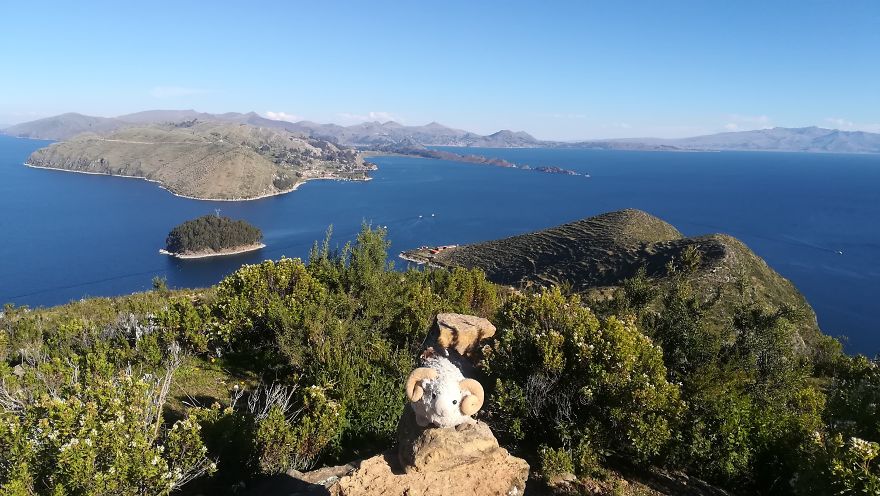 I Am The Cutest Ram Ever And I Love To Travel: Look At My Pictures Around The World!