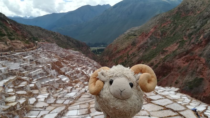 I Am The Cutest Ram Ever And I Love To Travel: Look At My Pictures Around The World!