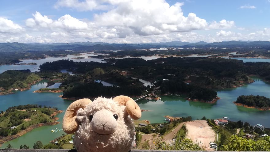 I Am The Cutest Ram Ever And I Love To Travel: Look At My Pictures Around The World!