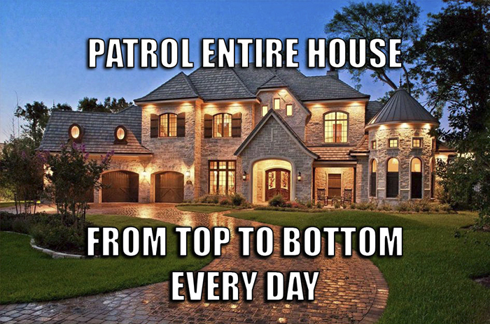 &#8216;Security Manager&#8217; Of A Rich Family Shares The Craziest Tasks He Has To Do Every Day